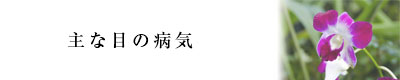 主な目の病気
